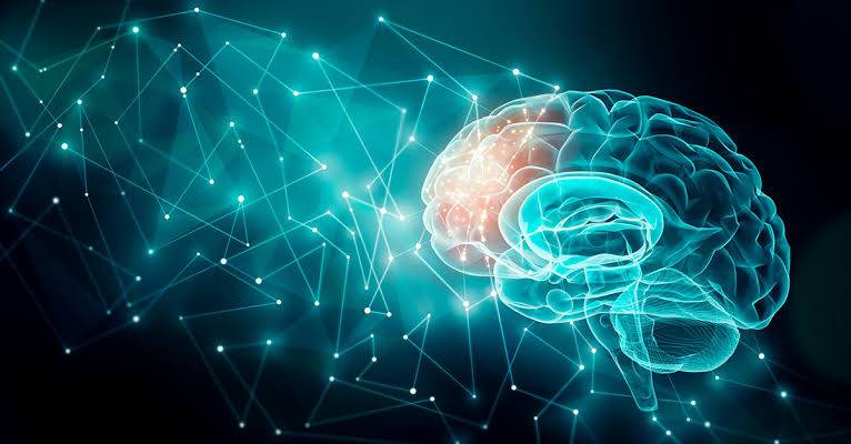 How does our brain store memories?