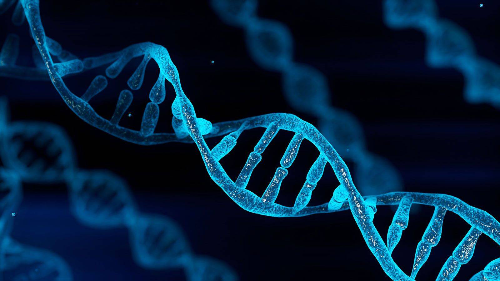 How does DNA store information?