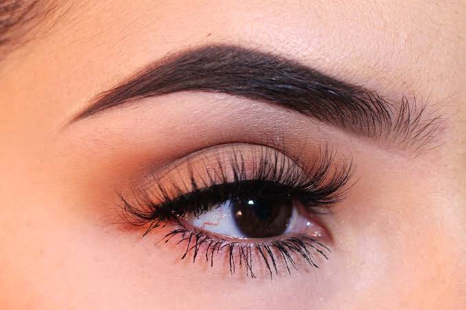 What is the purpose of eyebrows?
