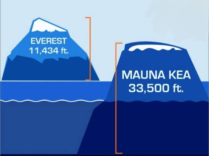 What is the tallest mountain under the sea?