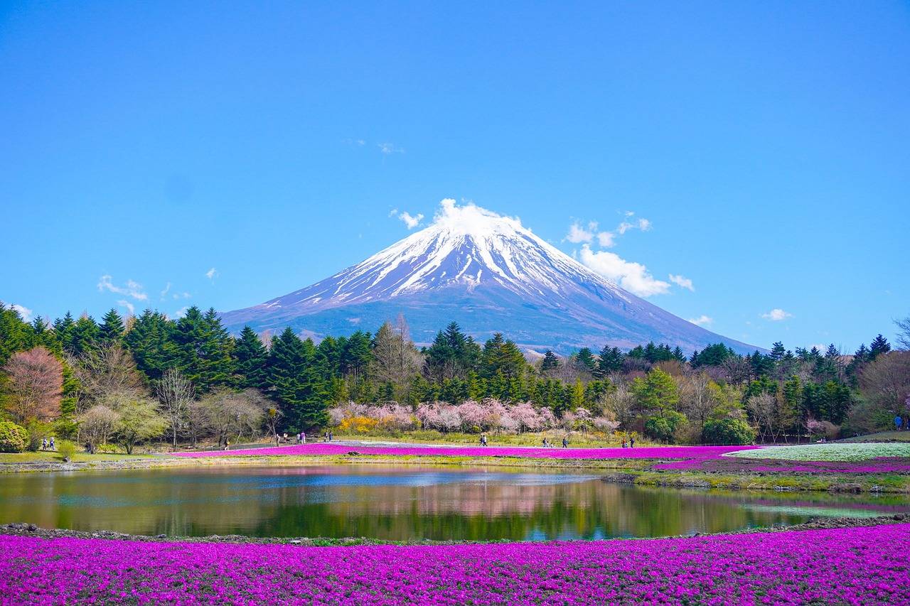 What is the tallest mountain in Africa?