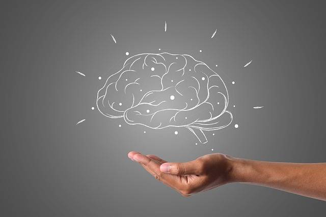 Which part of the brain controls thinking?