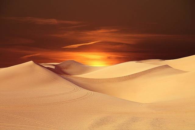 Which is the largest desert in the world?