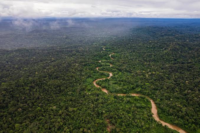 What is the name of the world’s largest rainforest about?