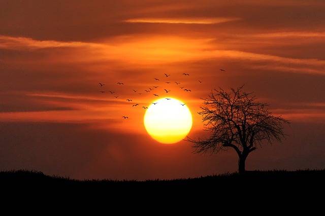 What color is the sun?