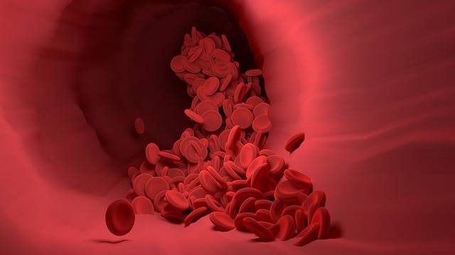 Why do people have different blood types?