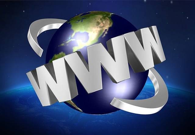 What does the Internet prefix “www” stand for?