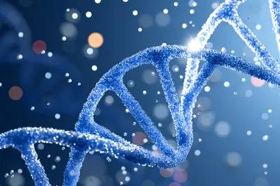 What is the full form of DNA?