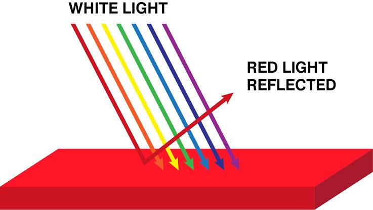 How do our eyes see colors?