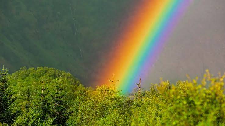 How does a rainbow get its colors?