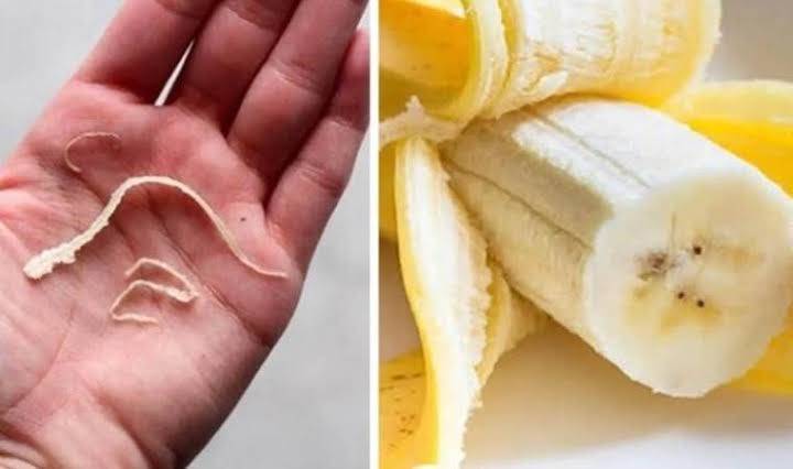 Why do bananas have strings?
