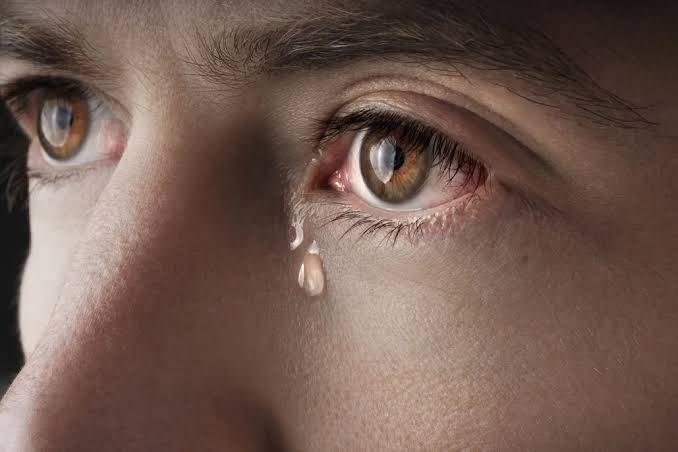Why do humans cry emotional tears?