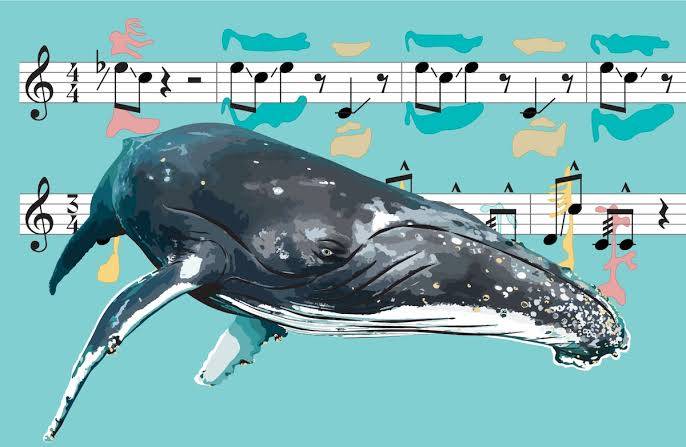 How do whales sing?