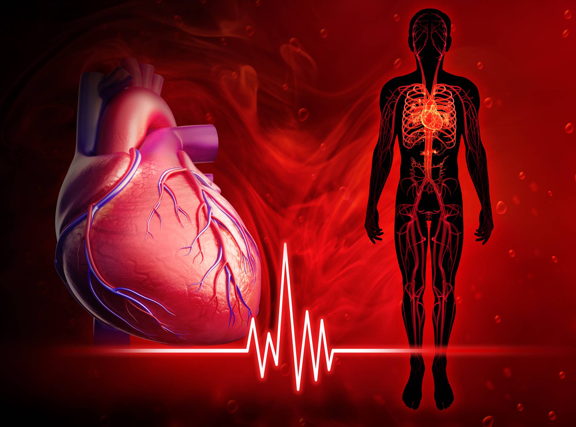 Which organ pumps oxygen-rich blood to the body?