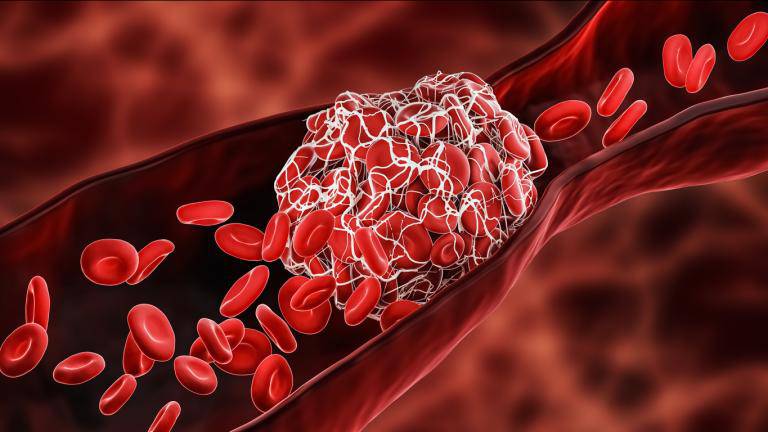 What part of the blood helps in clotting?