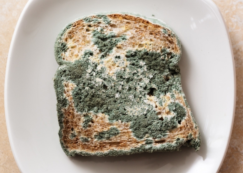 Why does bread mold?